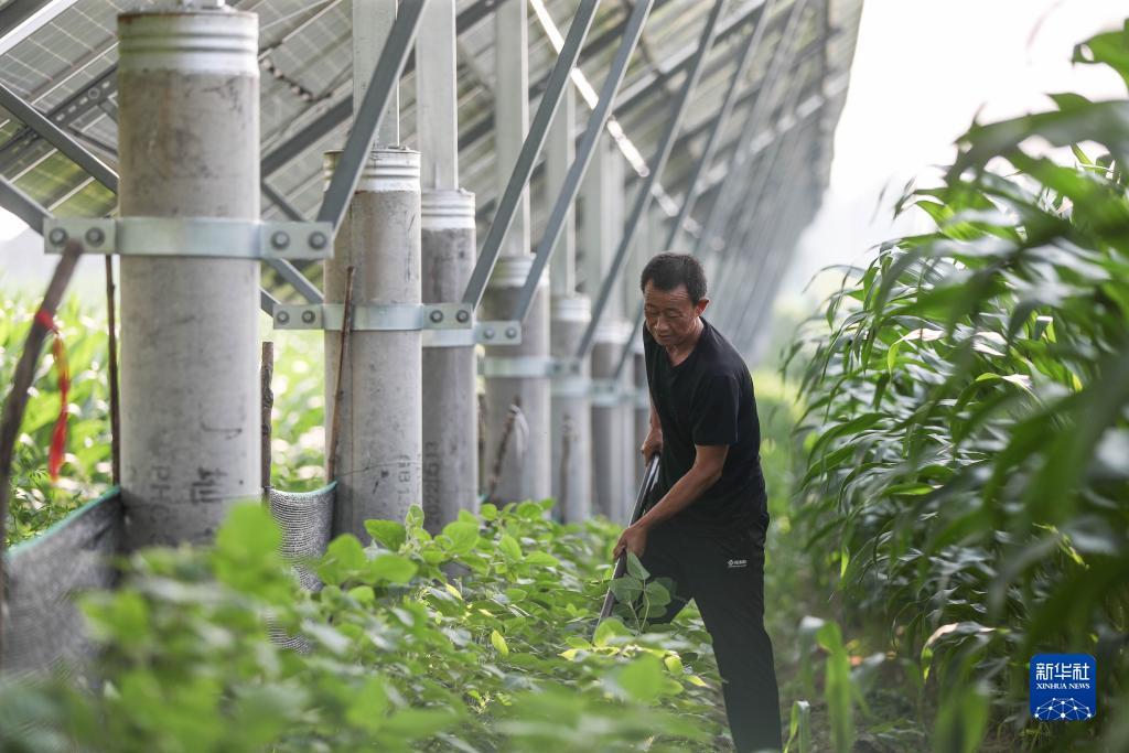 巴黎人十大登录